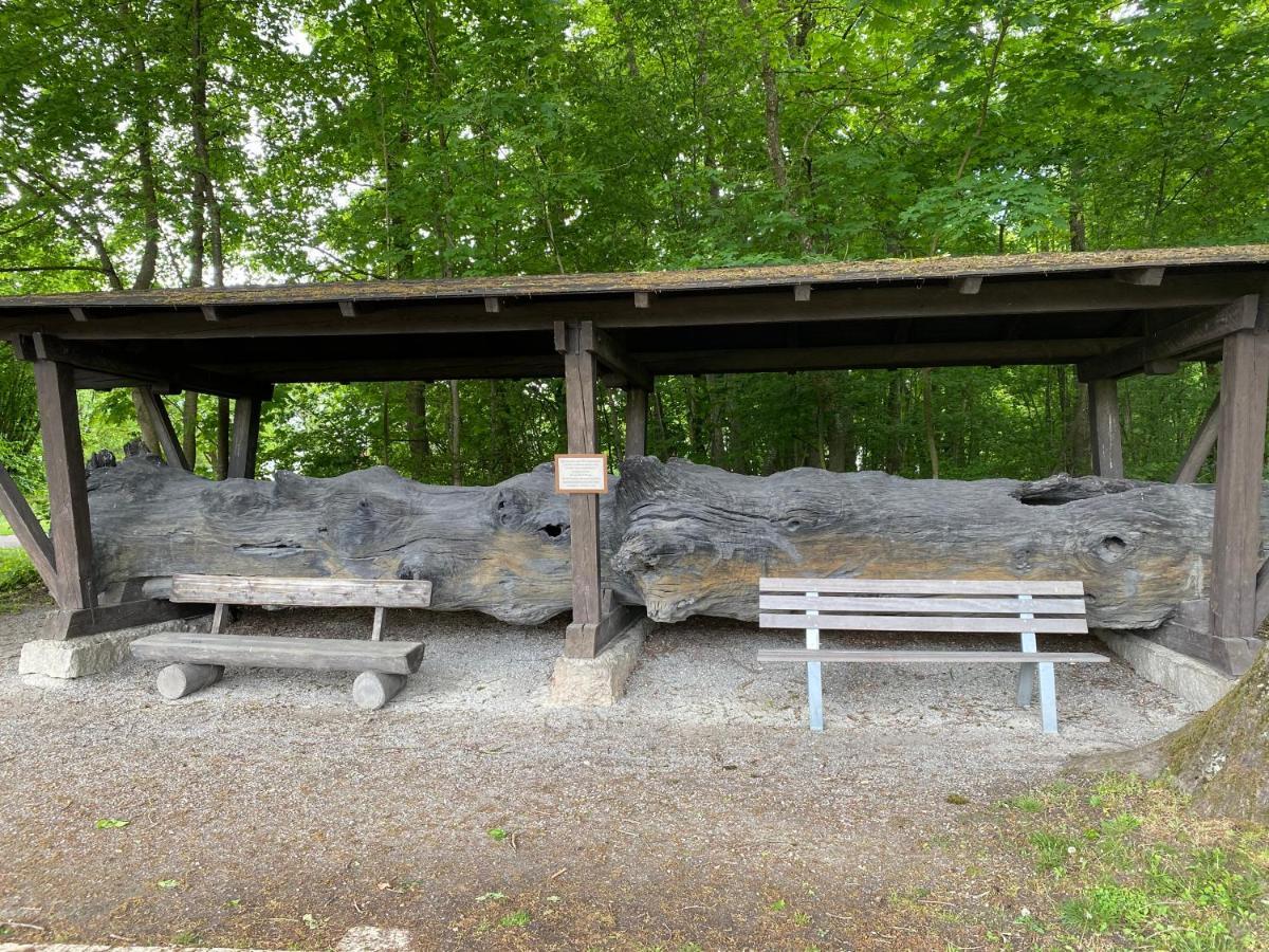 Appartementhof Stadler Pocking  Buitenkant foto