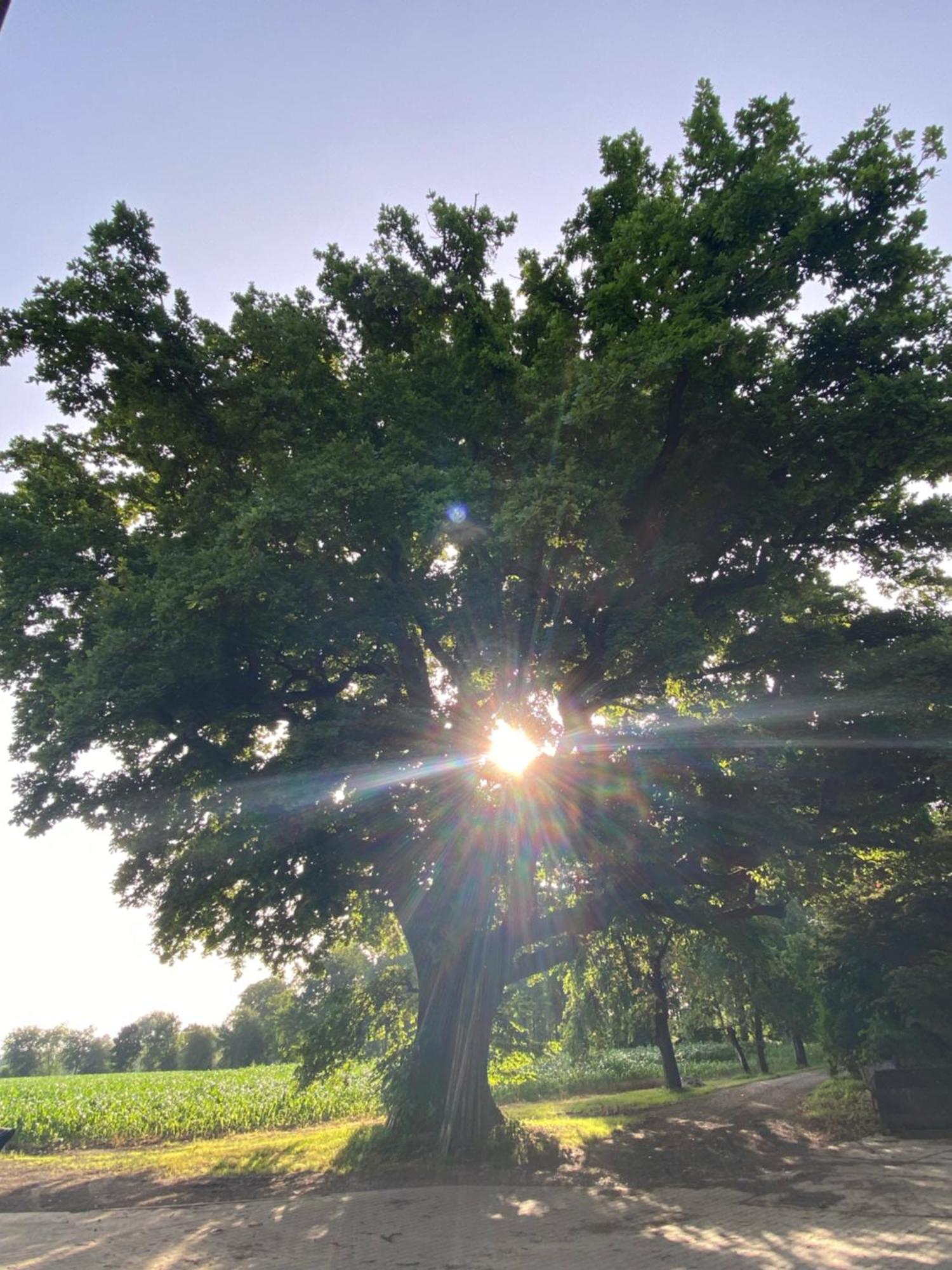 Appartementhof Stadler Pocking  Buitenkant foto