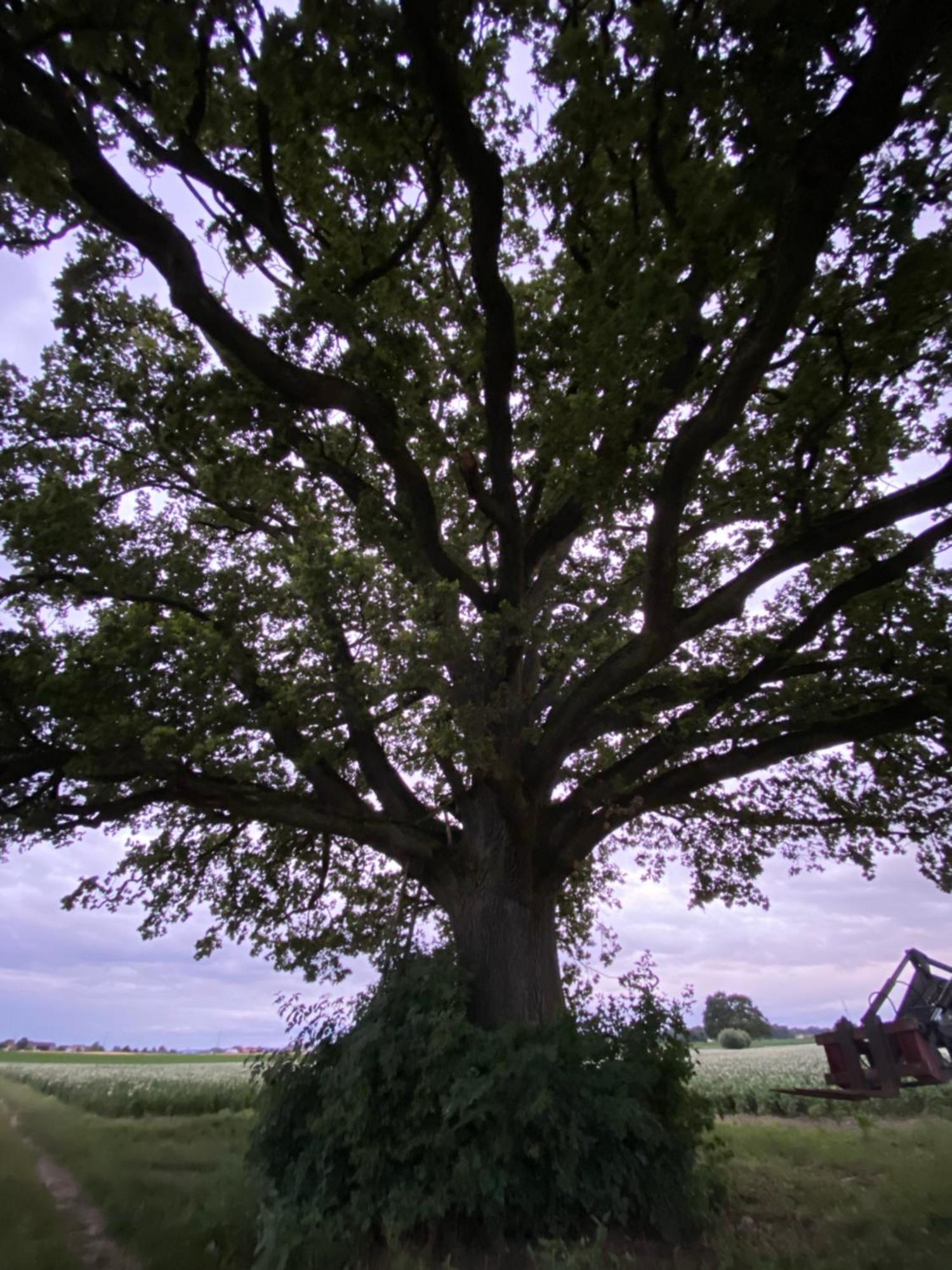 Appartementhof Stadler Pocking  Buitenkant foto