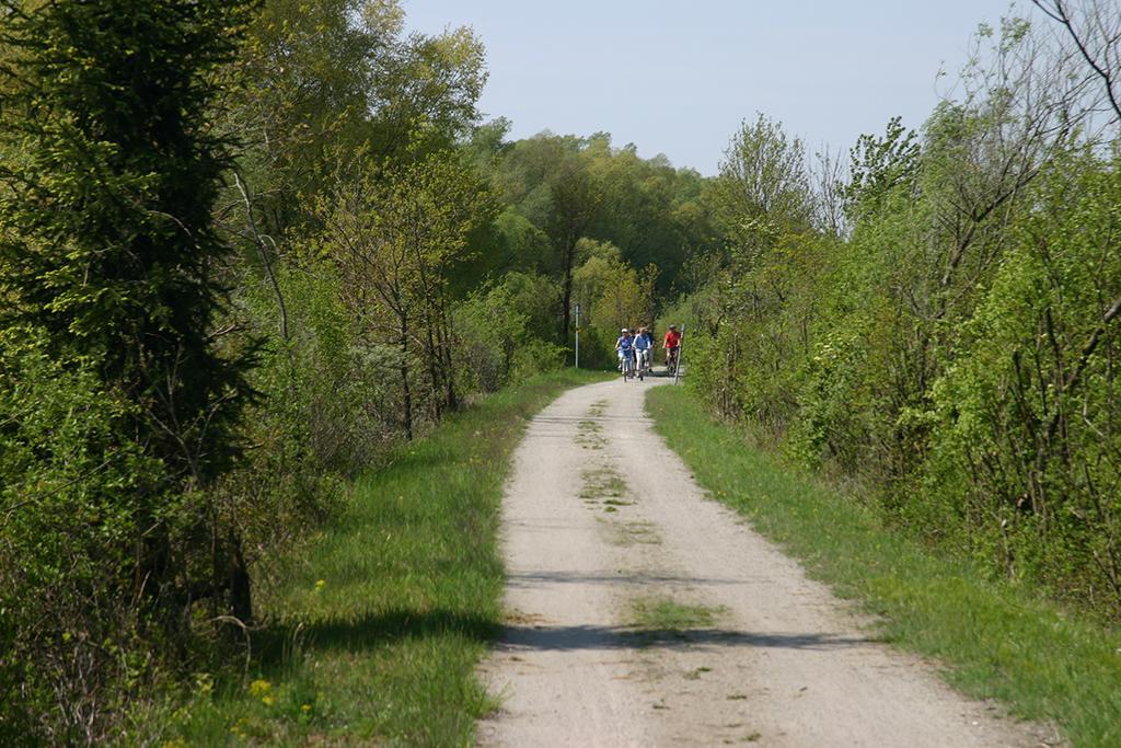 Appartementhof Stadler Pocking  Buitenkant foto